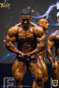 IFBB Чемпионат мира по бодибилдингу - 2019
