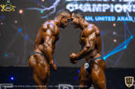IFBB Чемпионат мира по бодибилдингу - 2019