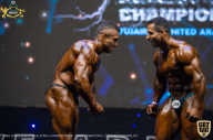 IFBB Чемпионат мира по бодибилдингу - 2019
