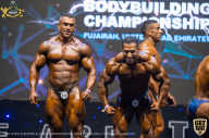 IFBB Чемпионат мира по бодибилдингу - 2019