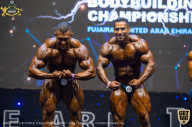 IFBB Чемпионат мира по бодибилдингу - 2019