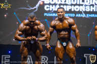 IFBB Чемпионат мира по бодибилдингу - 2019