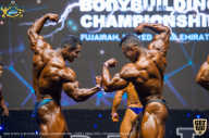 IFBB Чемпионат мира по бодибилдингу - 2019