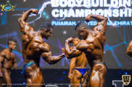 IFBB Чемпионат мира по бодибилдингу - 2019