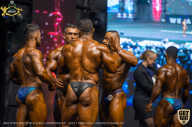 IFBB Чемпионат мира по бодибилдингу - 2019