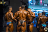 IFBB Чемпионат мира по бодибилдингу - 2019