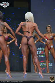 Siberian Power Show - 2021