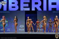 Siberian Power Show - 2021