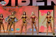 Siberian Power Show - 2021
