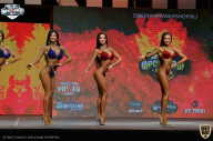 Siberian Power Show - 2021