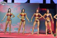 Siberian Power Show - 2021