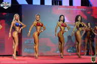 Siberian Power Show - 2021
