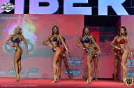 Siberian Power Show - 2021