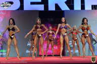 Siberian Power Show - 2021