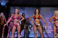 Кубок Ярославской области по бодибилдингу - 2021