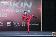 Grand Prix Dudushkin Fitness Family - 2022