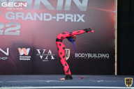Grand Prix Dudushkin Fitness Family - 2022