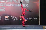 Grand Prix Dudushkin Fitness Family - 2022