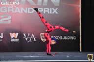 Grand Prix Dudushkin Fitness Family - 2022