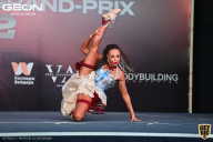 Grand Prix Dudushkin Fitness Family - 2022