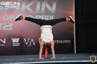 Grand Prix Dudushkin Fitness Family - 2022