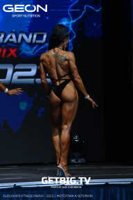 Grand Prix Dudushkin Fitness Family - 2023