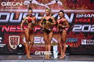 Grand Prix Dudushkin Fitness Family - 2023