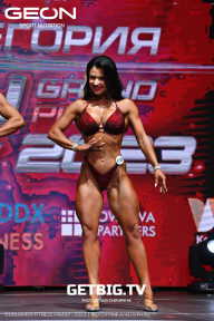 Grand Prix Dudushkin Fitness Family - 2023