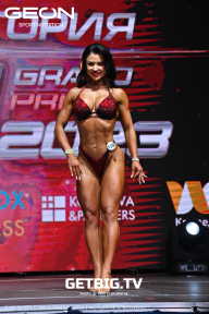 Grand Prix Dudushkin Fitness Family - 2023