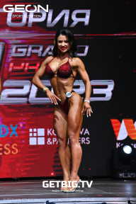 Grand Prix Dudushkin Fitness Family - 2023
