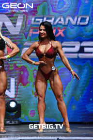 Grand Prix Dudushkin Fitness Family - 2023