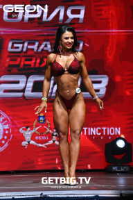 Grand Prix Dudushkin Fitness Family - 2023