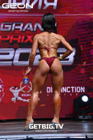 Grand Prix Dudushkin Fitness Family - 2023