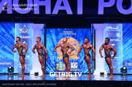 Чемпионат России по бодибилдингу - 2023