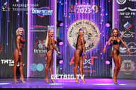 Чемпионат Северо-Западного Федерального округа - 2023