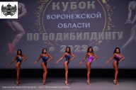 Кубок Воронежской области по бодибилдингу - 2023