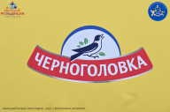 Железный кубок Ярославля - 2023