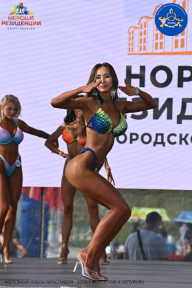 Железный кубок Ярославля - 2023