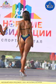 Железный кубок Ярославля - 2023