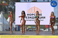 Железный кубок Ярославля - 2023