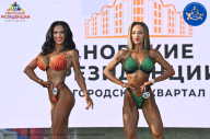 Железный кубок Ярославля - 2023