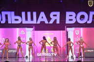 Большая Волга - 2024