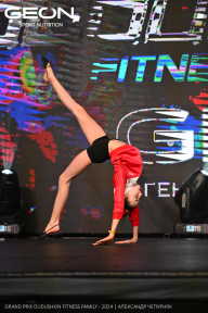 Grand Prix Dudushkin Fitness Family - 2024