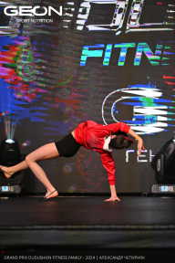 Grand Prix Dudushkin Fitness Family - 2024
