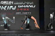 Grand Prix Dudushkin Fitness Family - 2024