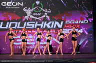 Grand Prix Dudushkin Fitness Family - 2024