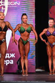 Grand Prix Dudushkin Fitness Family - 2024
