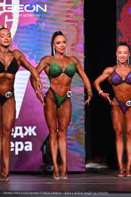Grand Prix Dudushkin Fitness Family - 2024