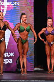 Grand Prix Dudushkin Fitness Family - 2024