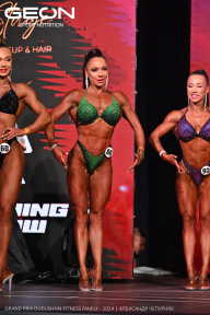 Grand Prix Dudushkin Fitness Family - 2024
